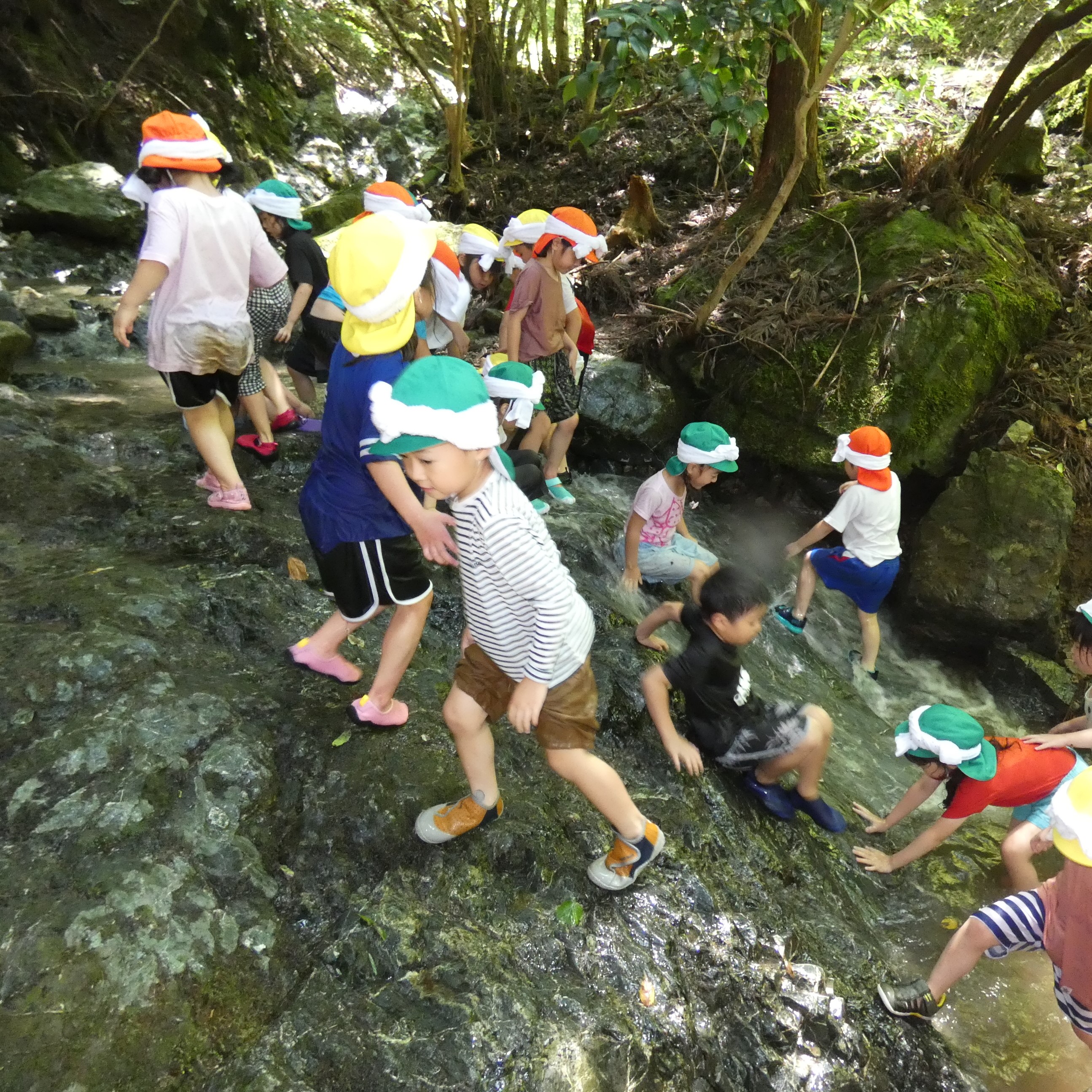 ５歳児自然体験
